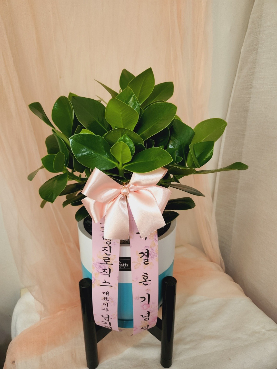 배송사진