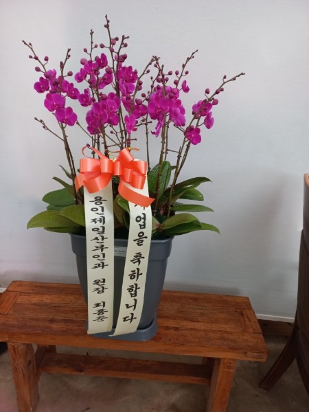 배송사진2