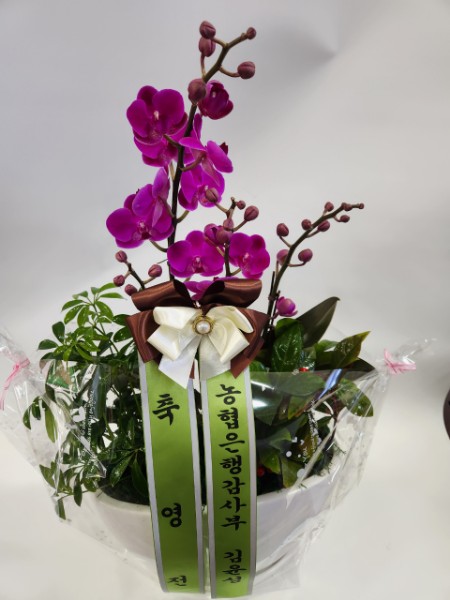 배송사진