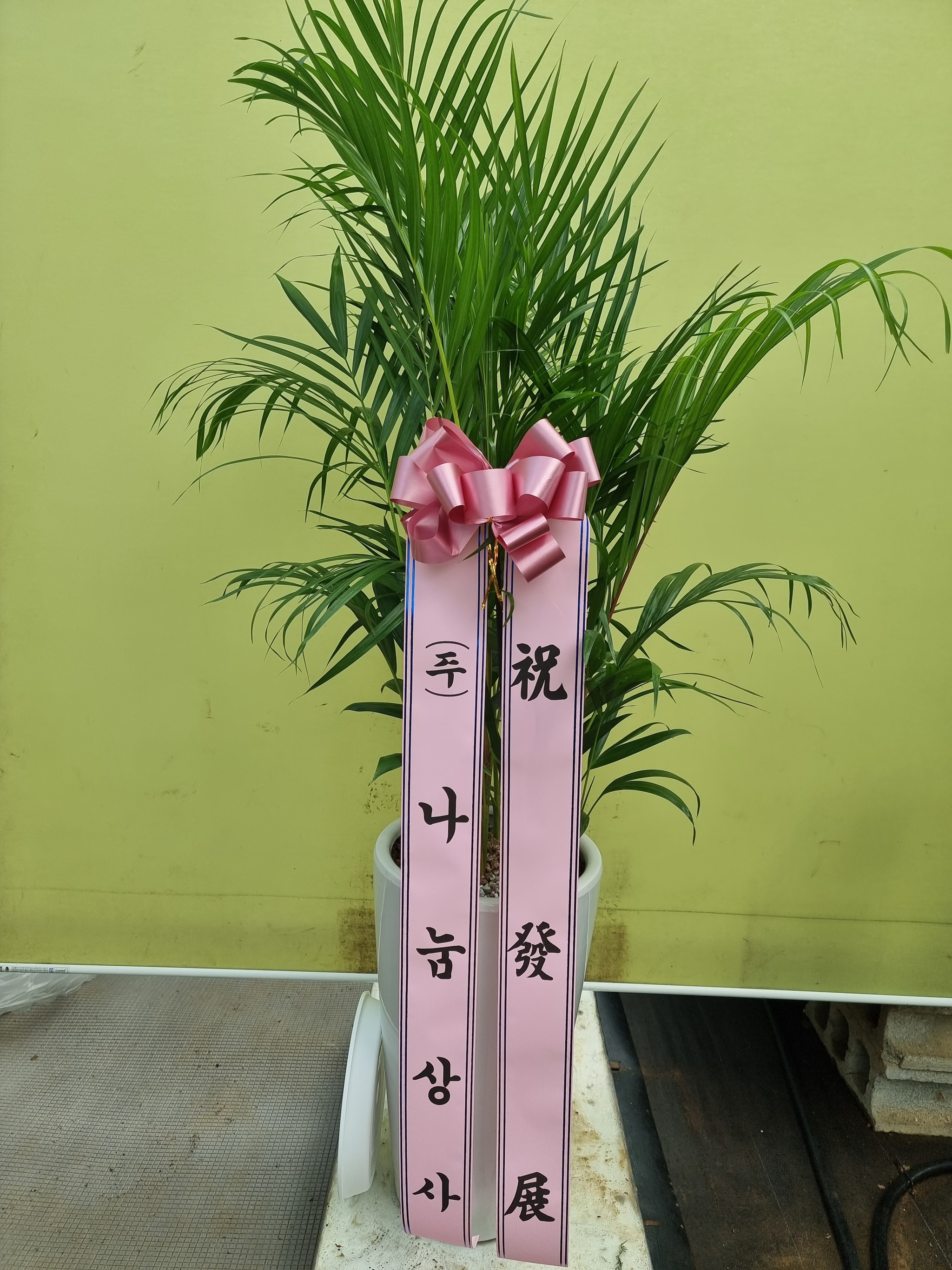 배송사진