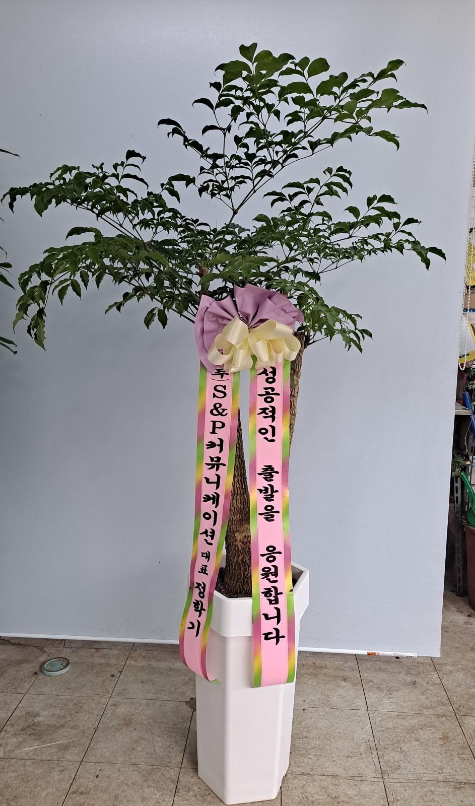 배송사진