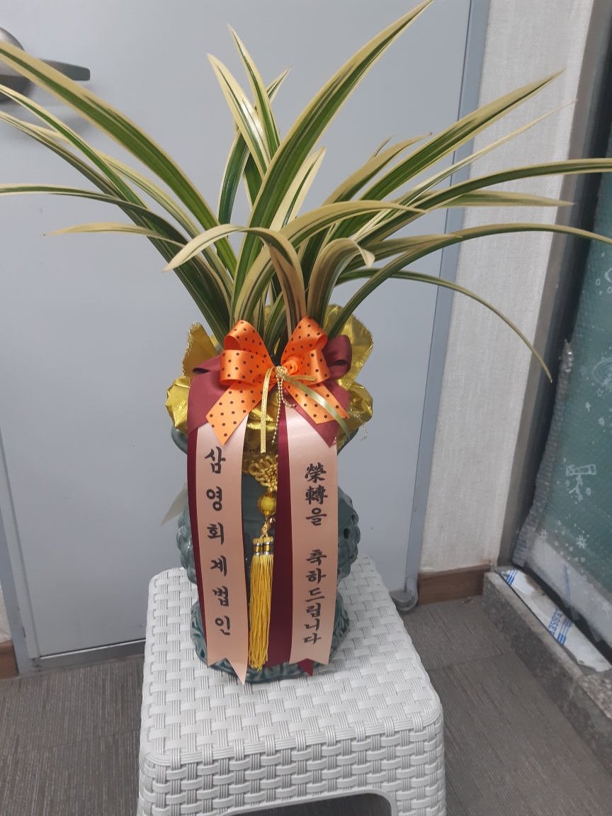 배송사진