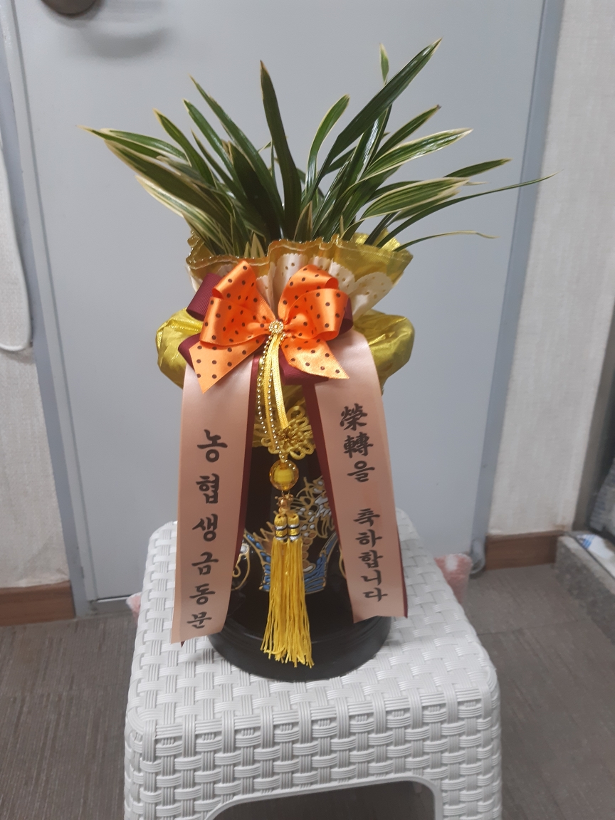 배송사진2