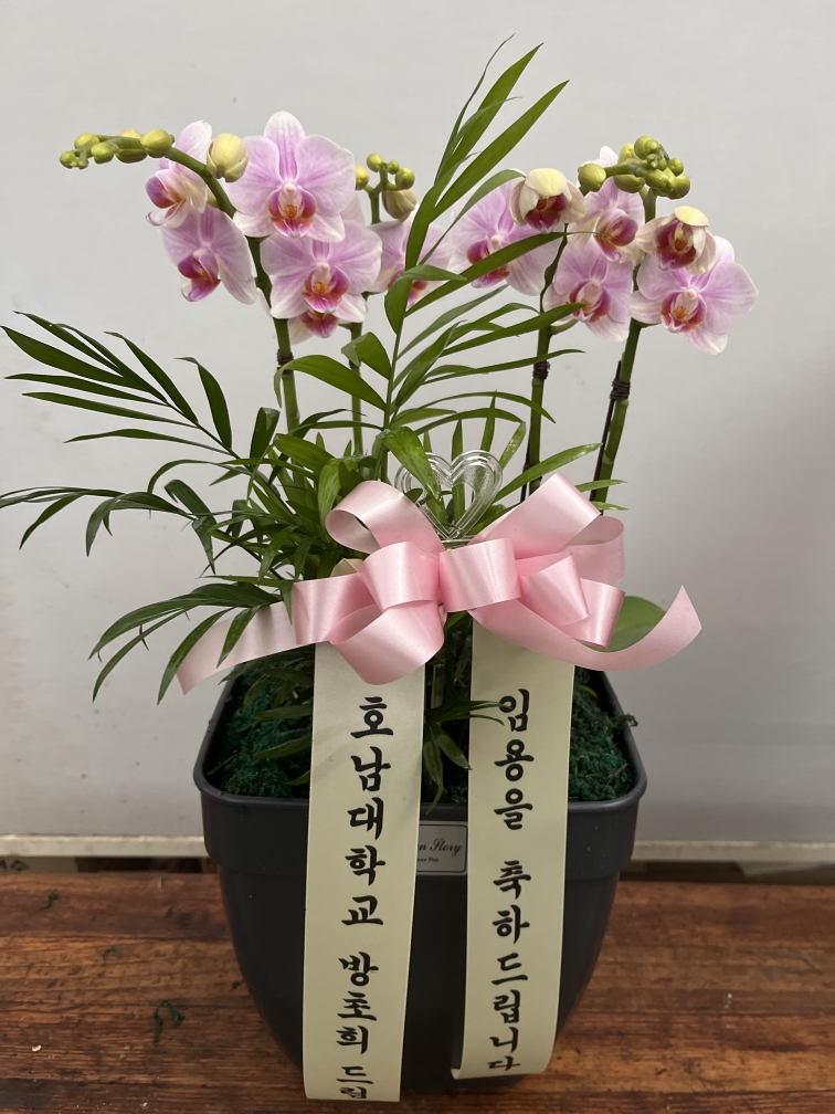 배송사진2