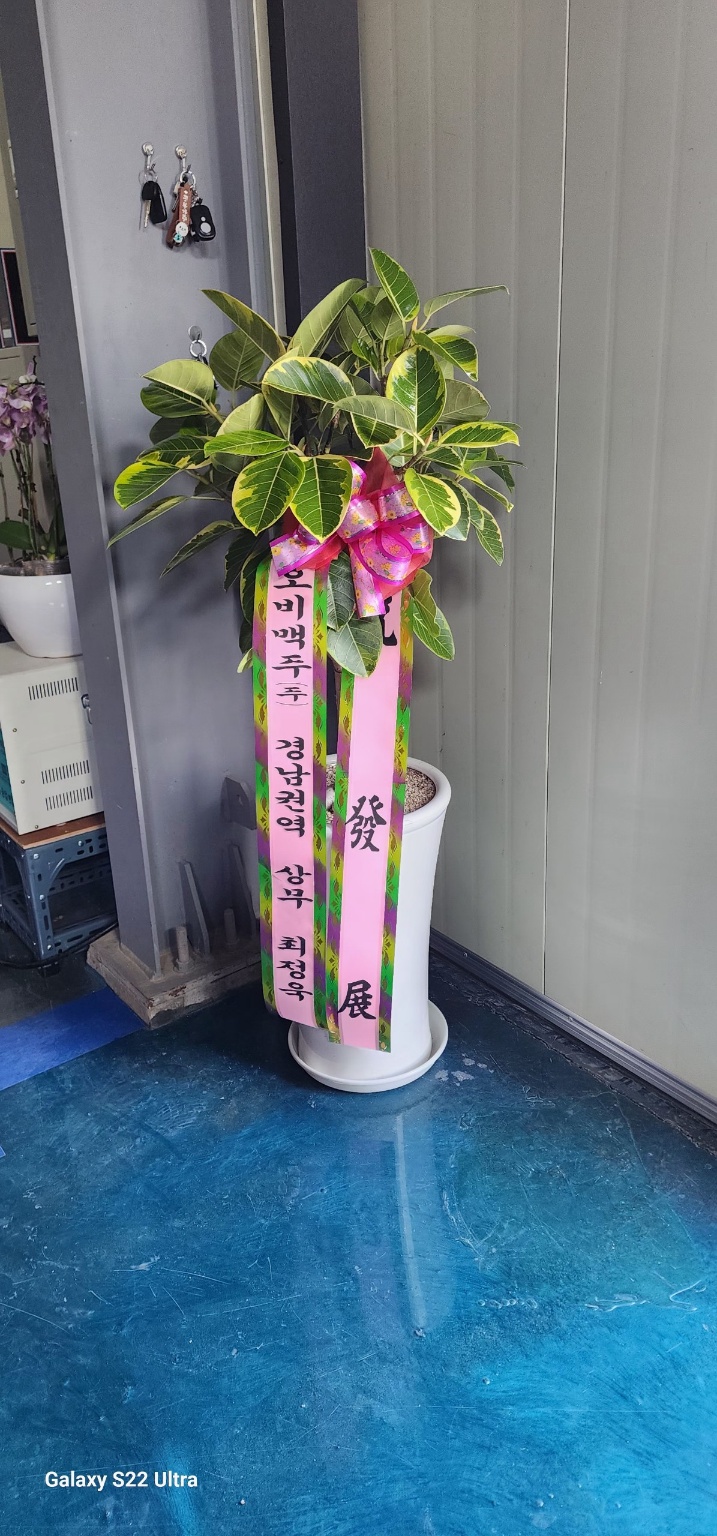 배송사진