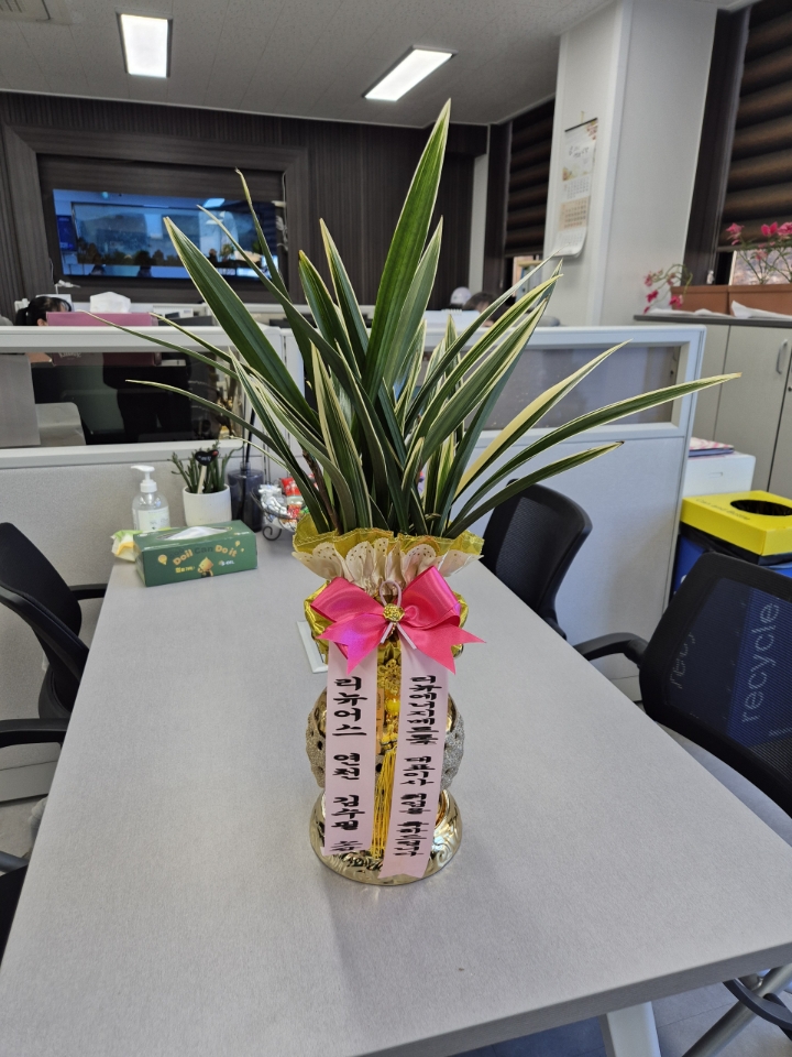 배송사진