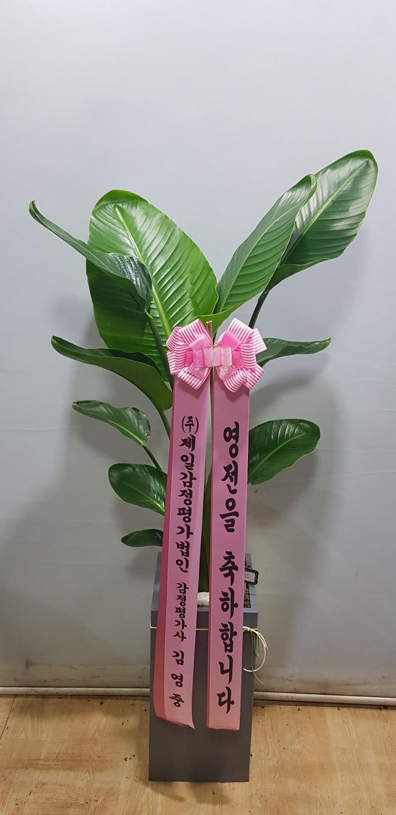 배송사진2