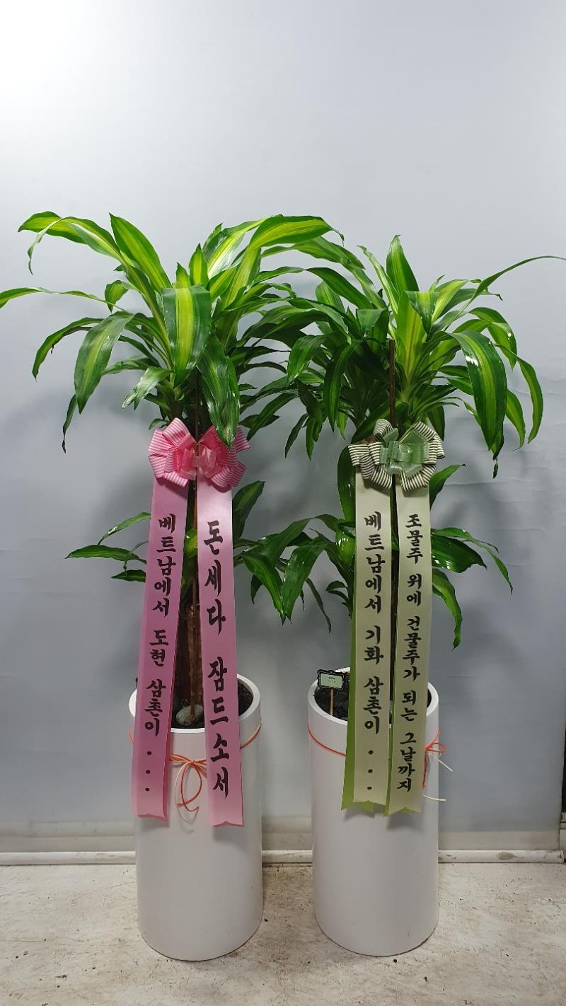 배송사진2