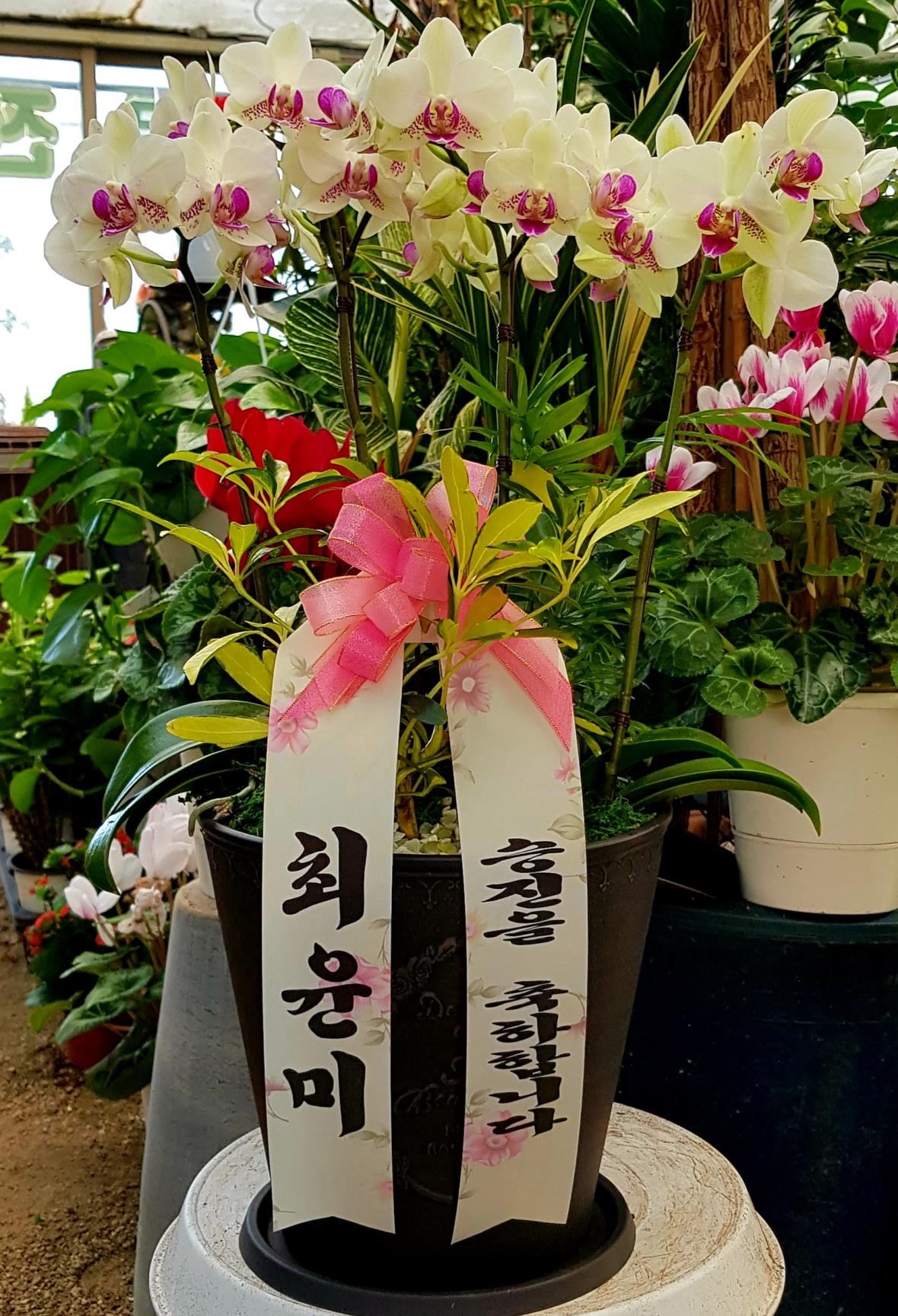 배송사진2