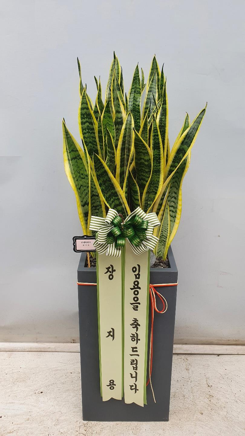 배송사진2