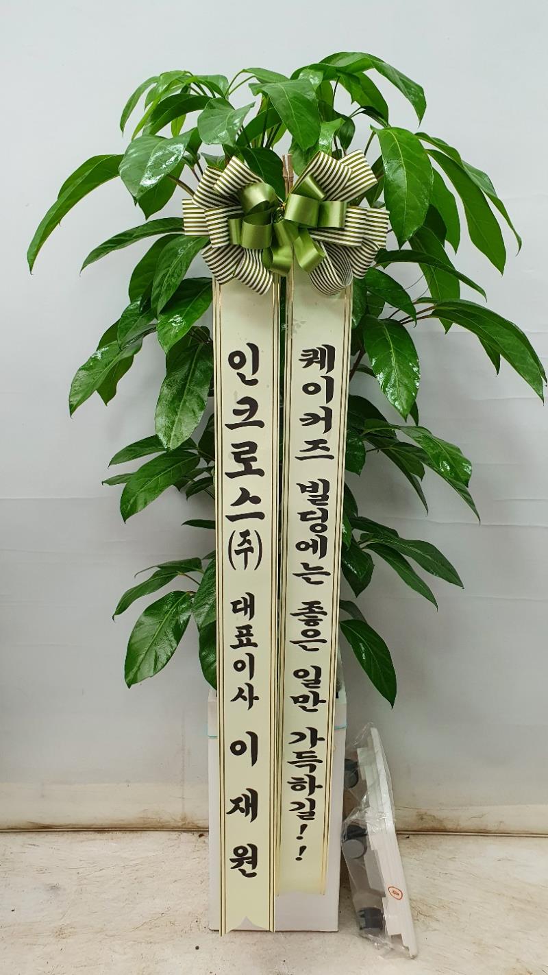 배송사진2