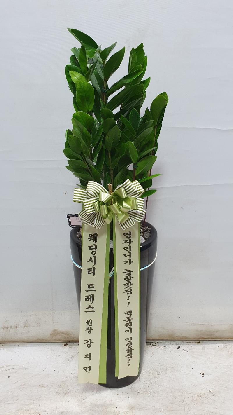 배송사진2