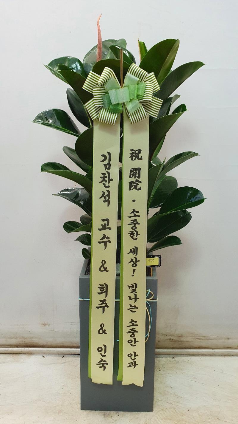 배송사진2