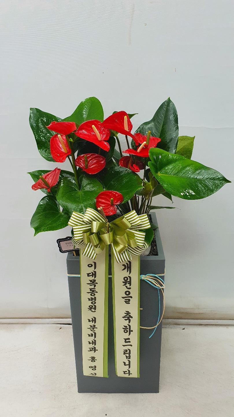배송사진2