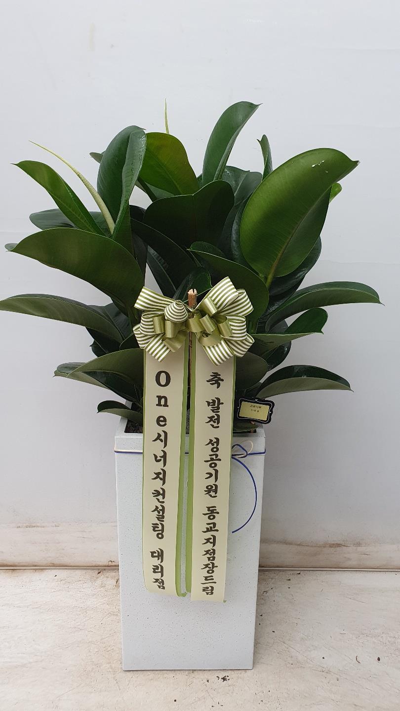 배송사진2