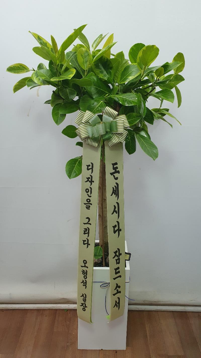 배송사진2