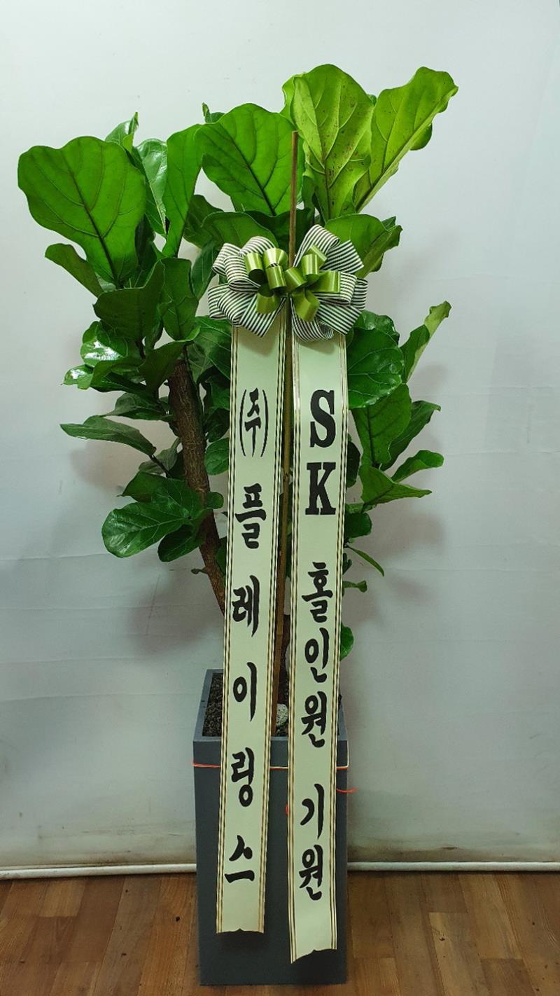 배송사진