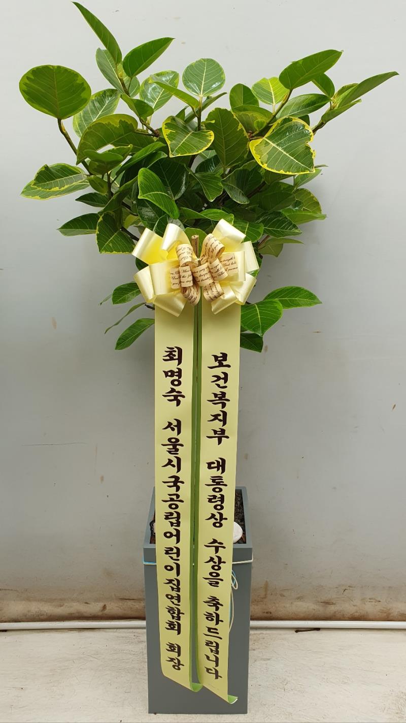 배송사진2