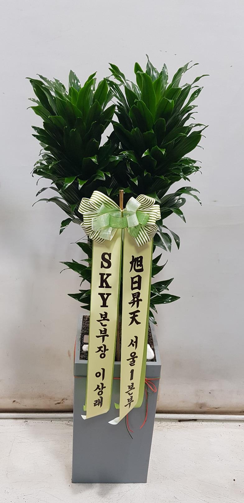 배송사진2
