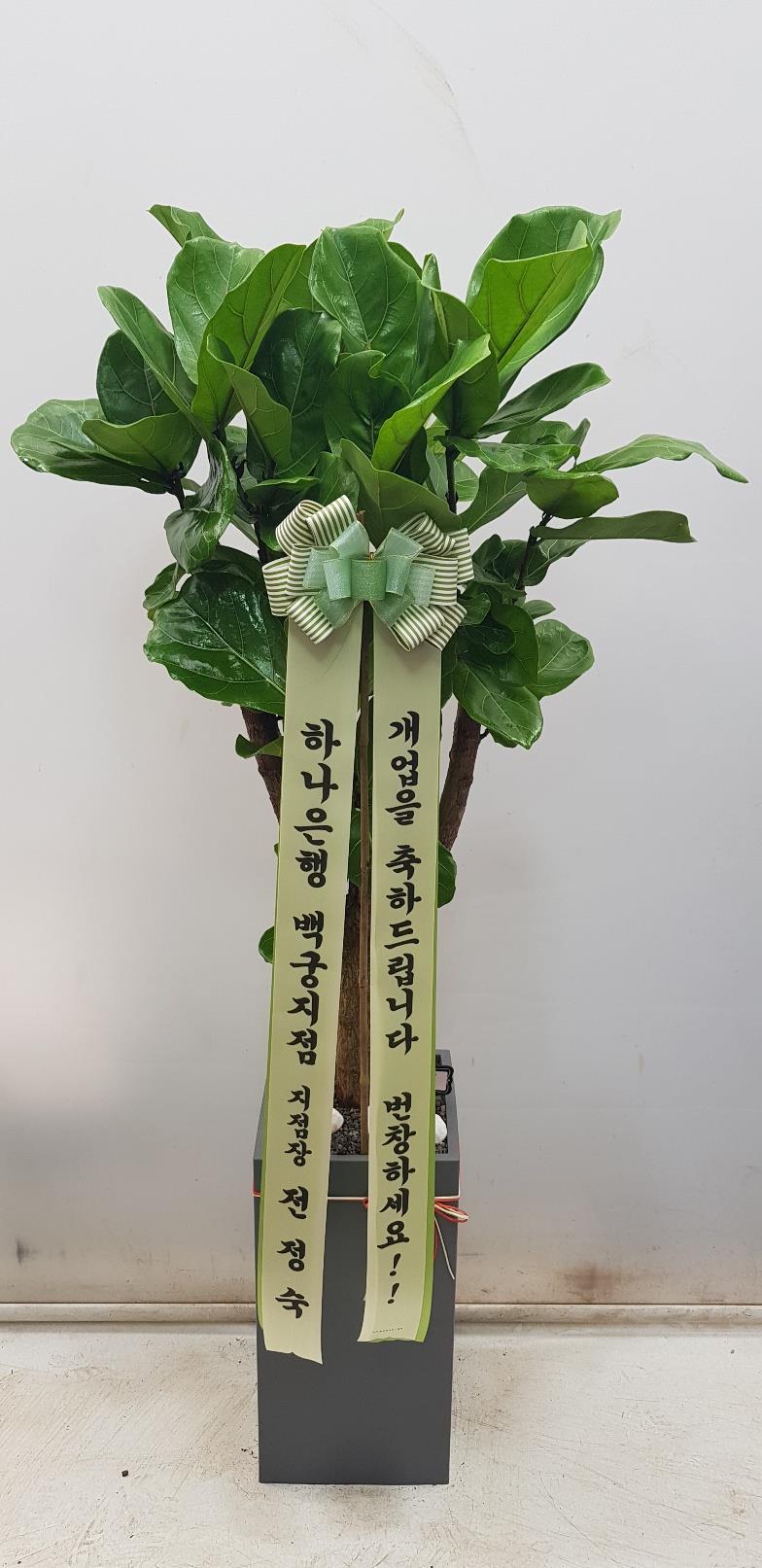 배송사진2