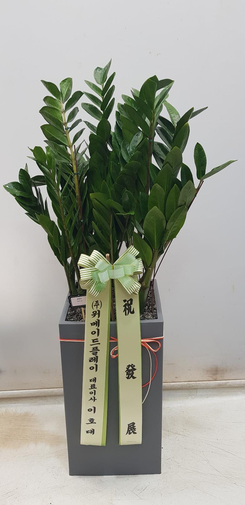 배송사진