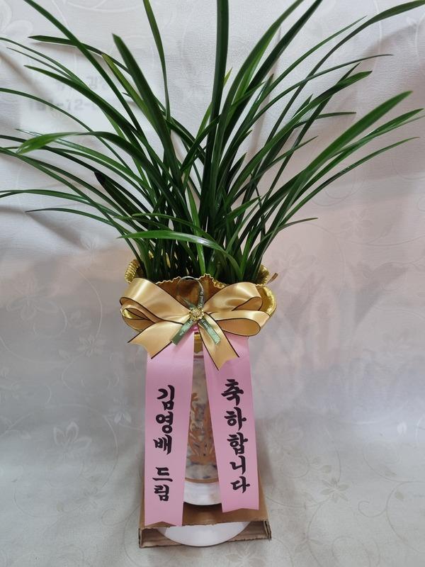 배송사진2