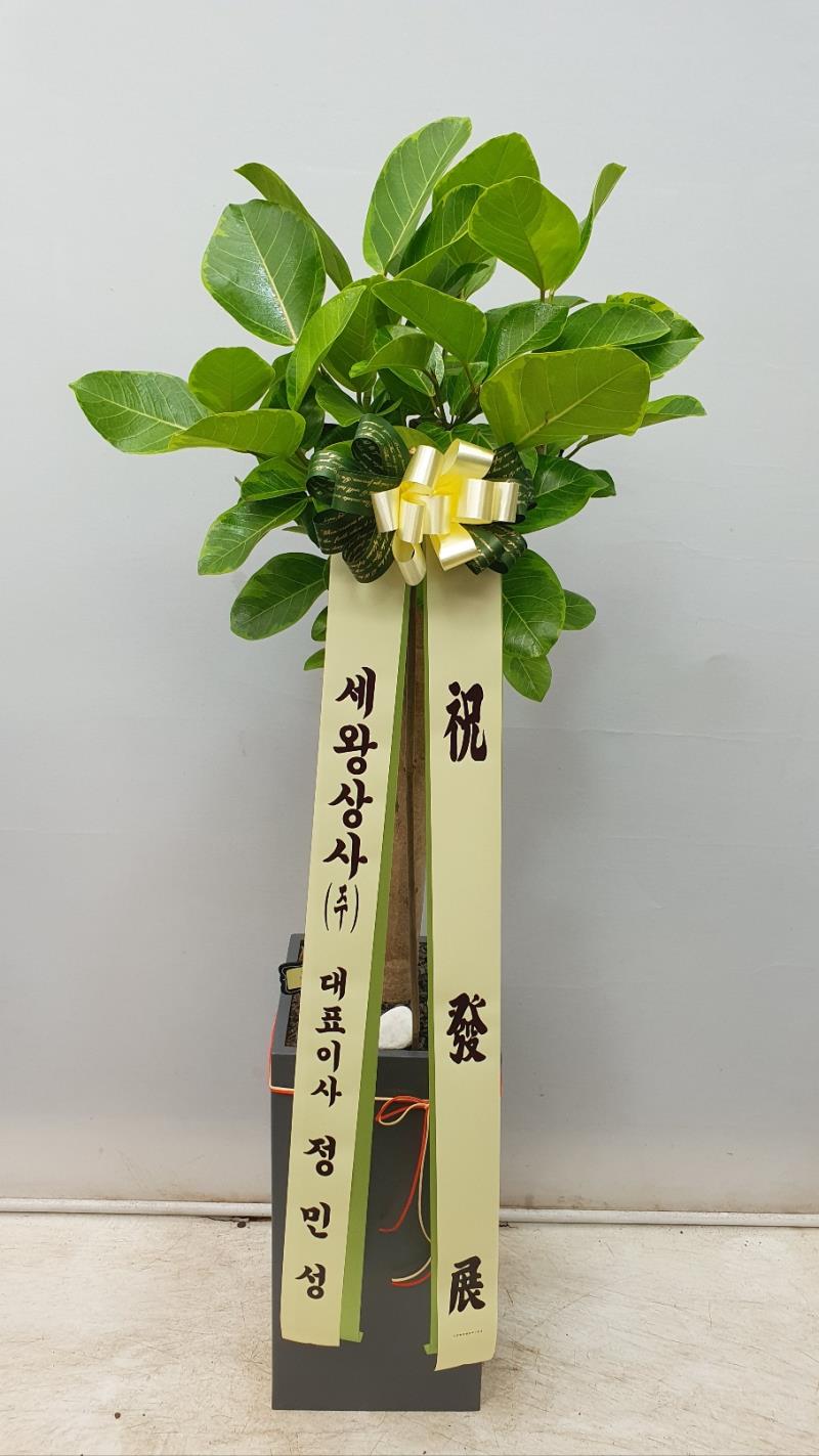 배송사진2