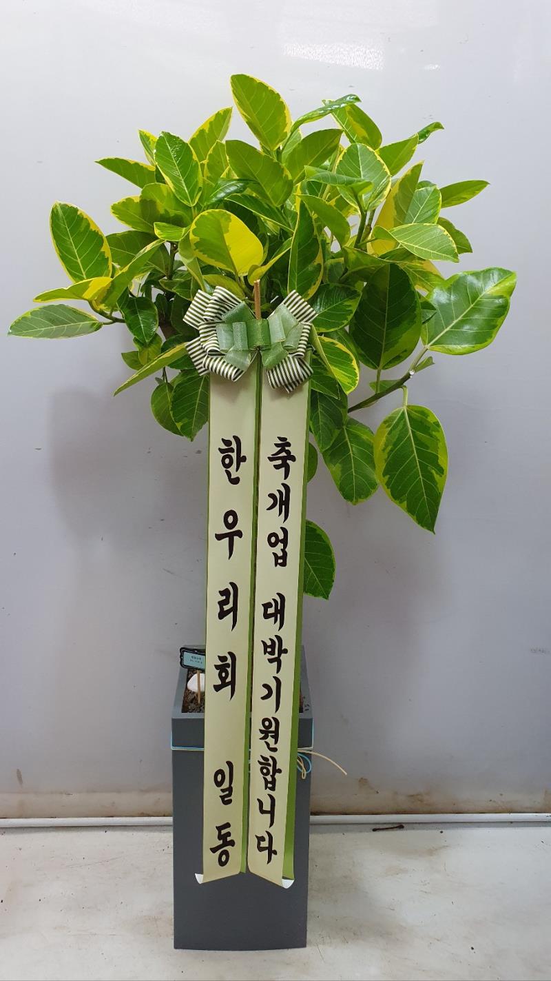 배송사진2
