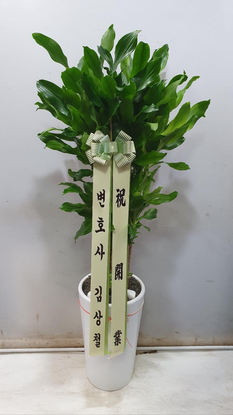 배송사진2