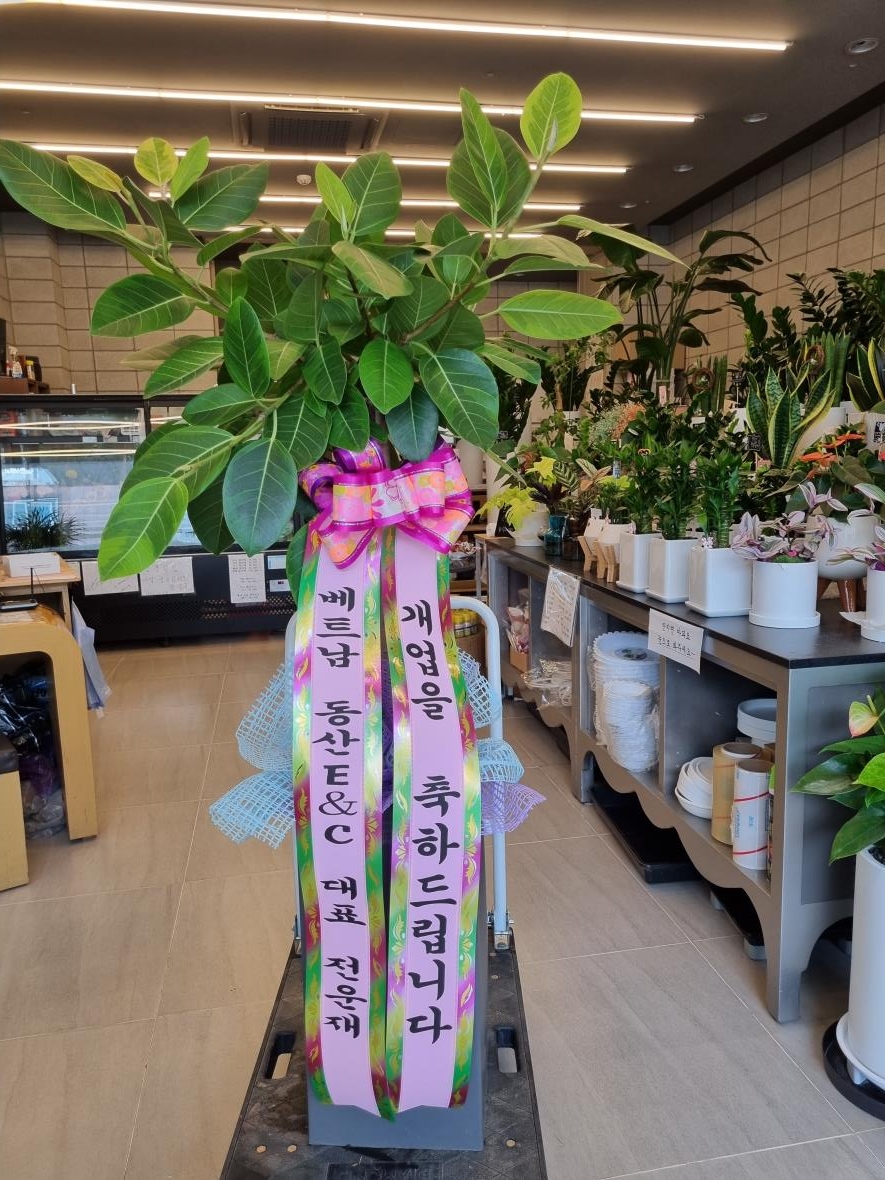 배송사진