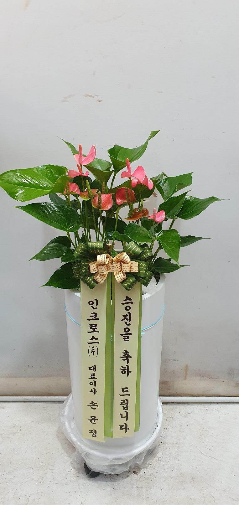 배송사진