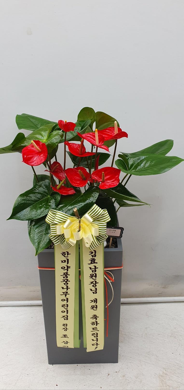 배송사진2