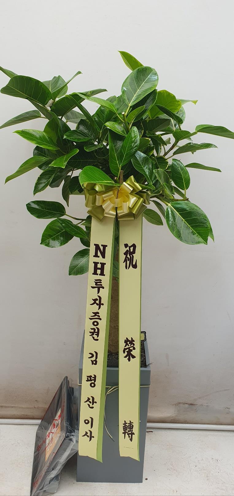 배송사진