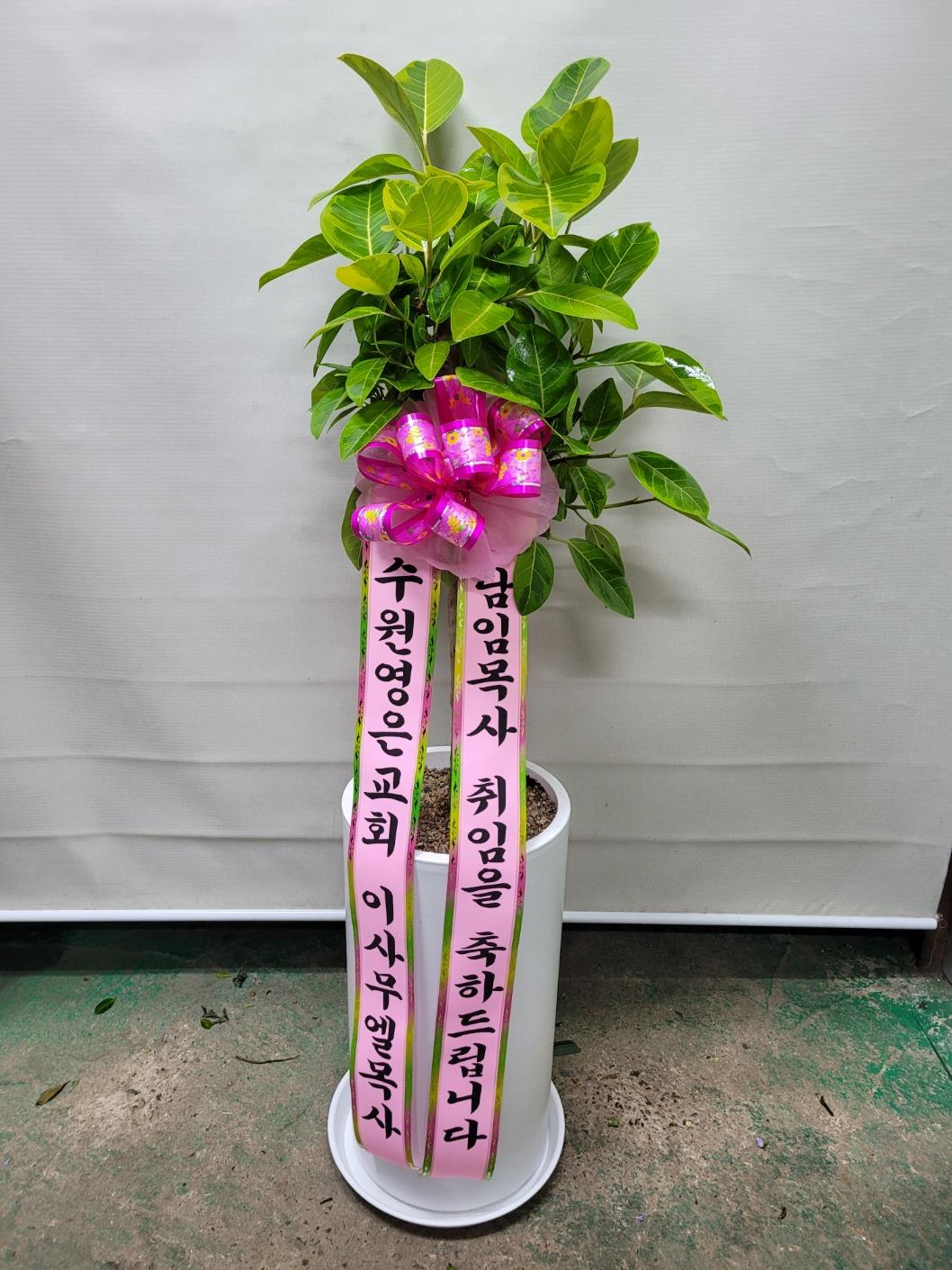 배송사진