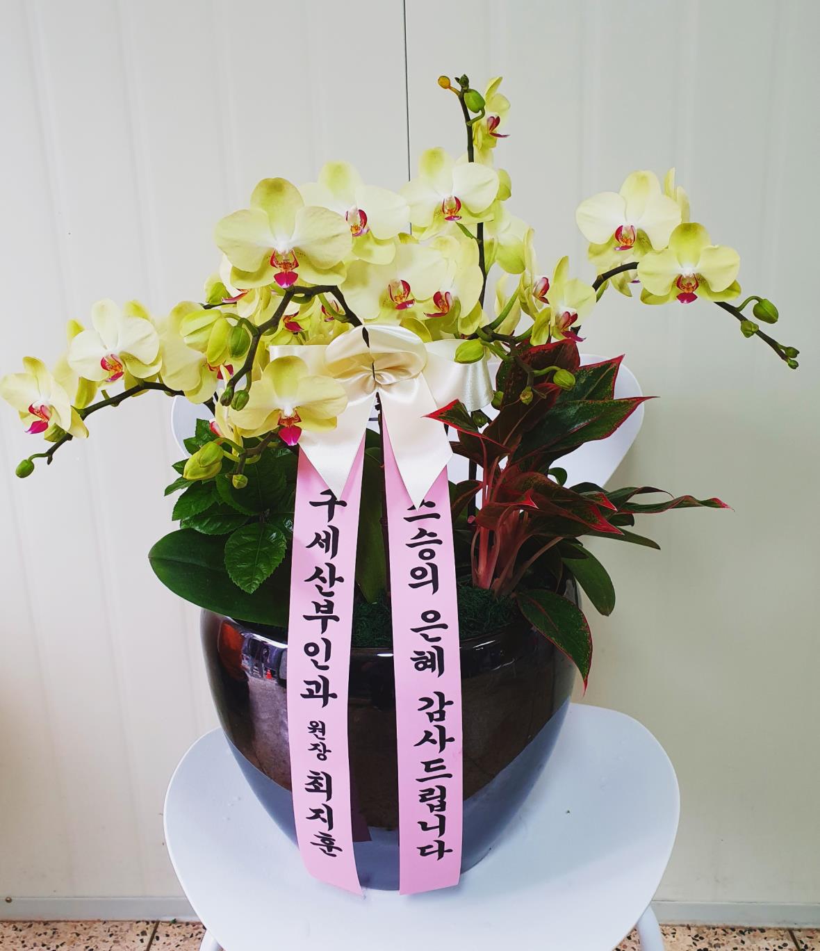 배송사진