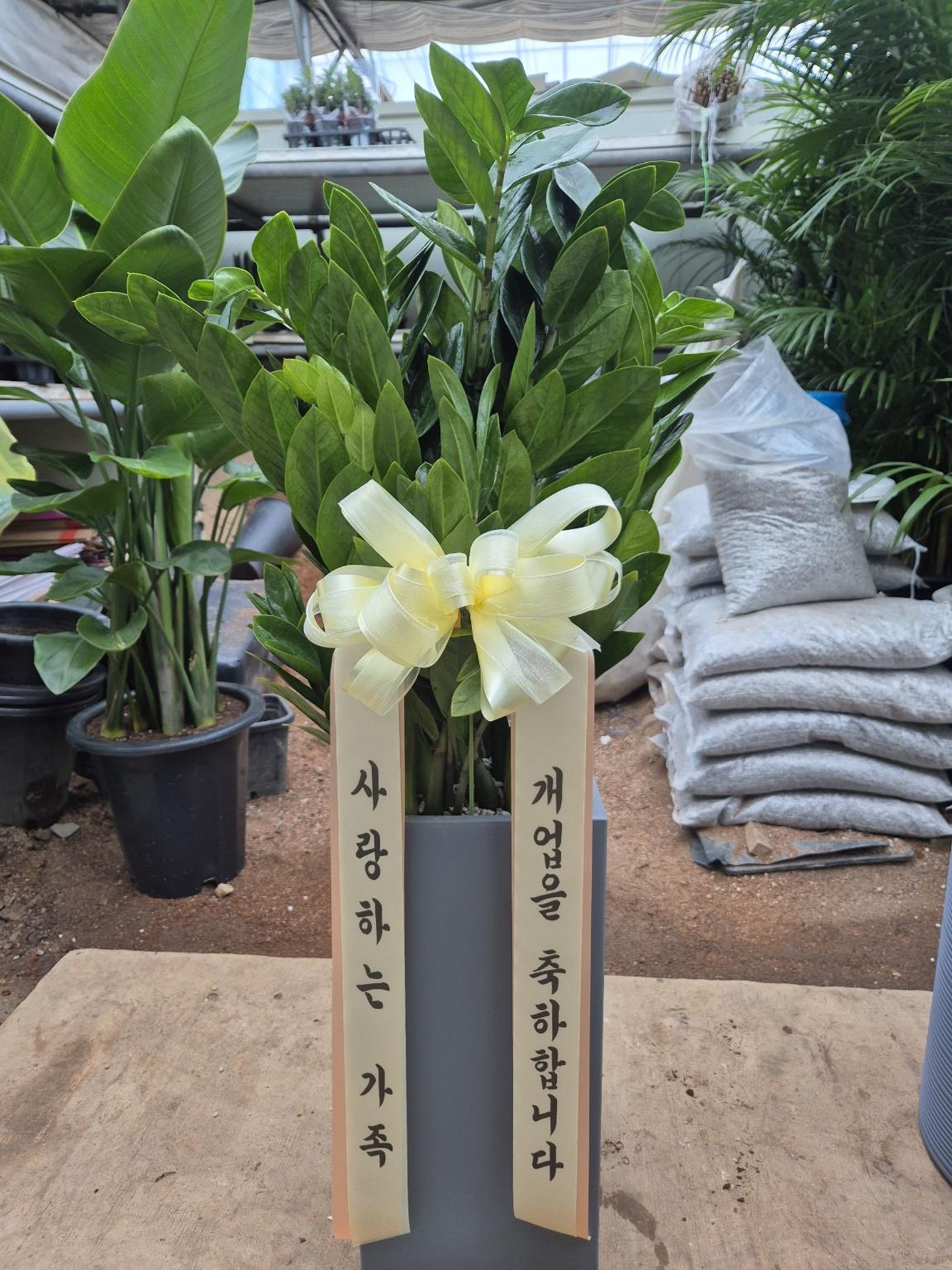 배송사진2