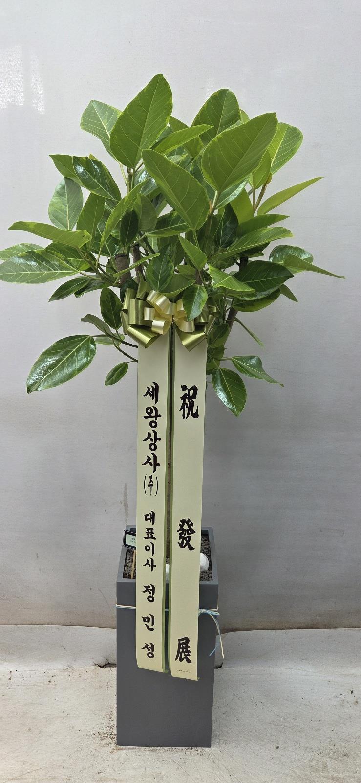 배송사진2