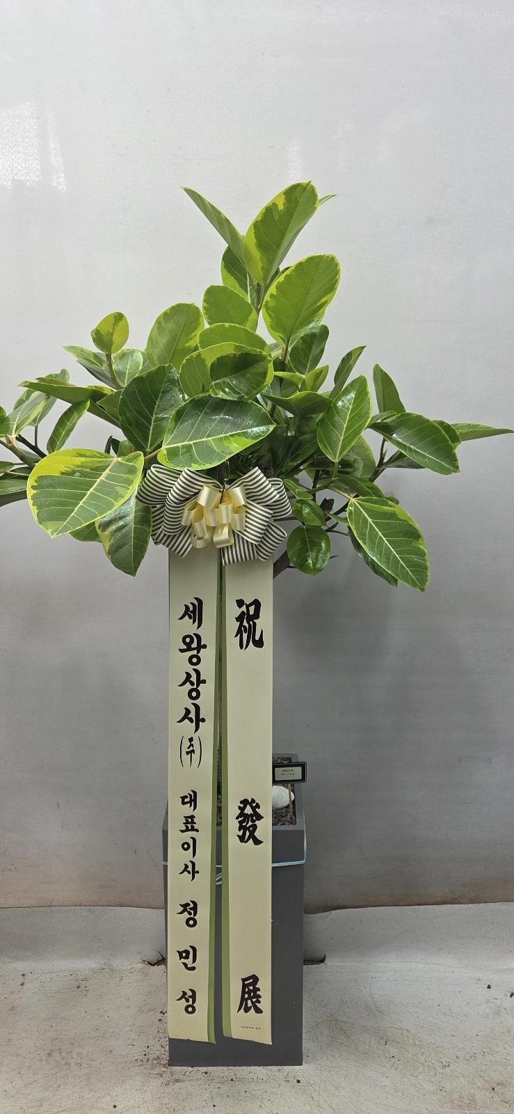 배송사진2