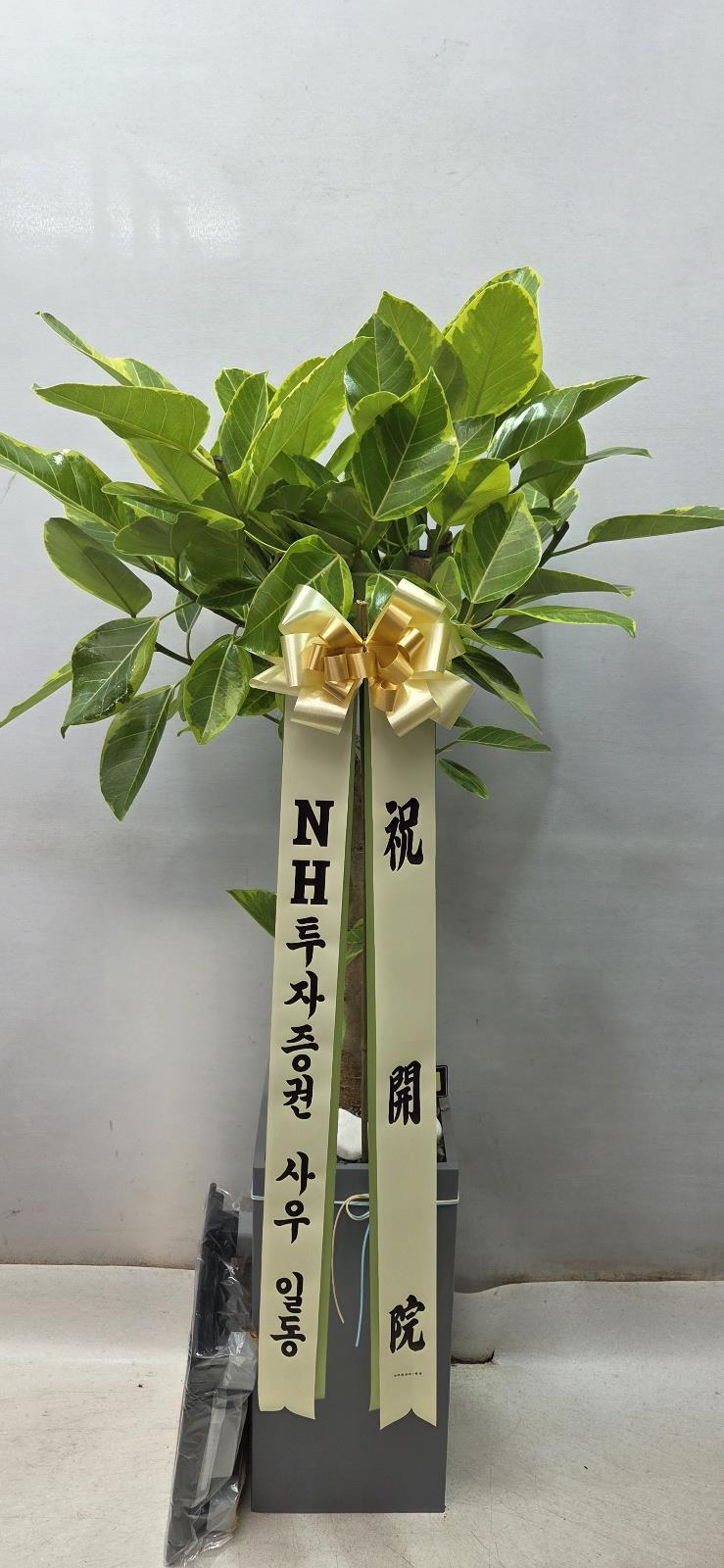 배송사진2