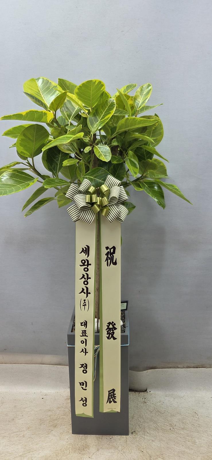 배송사진2