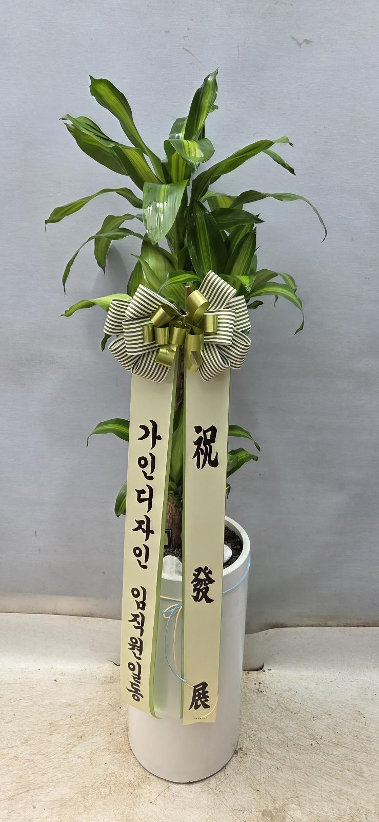 배송사진2