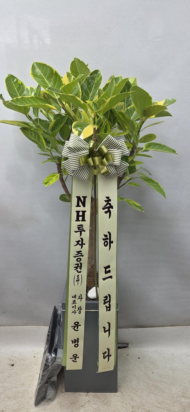 배송사진2
