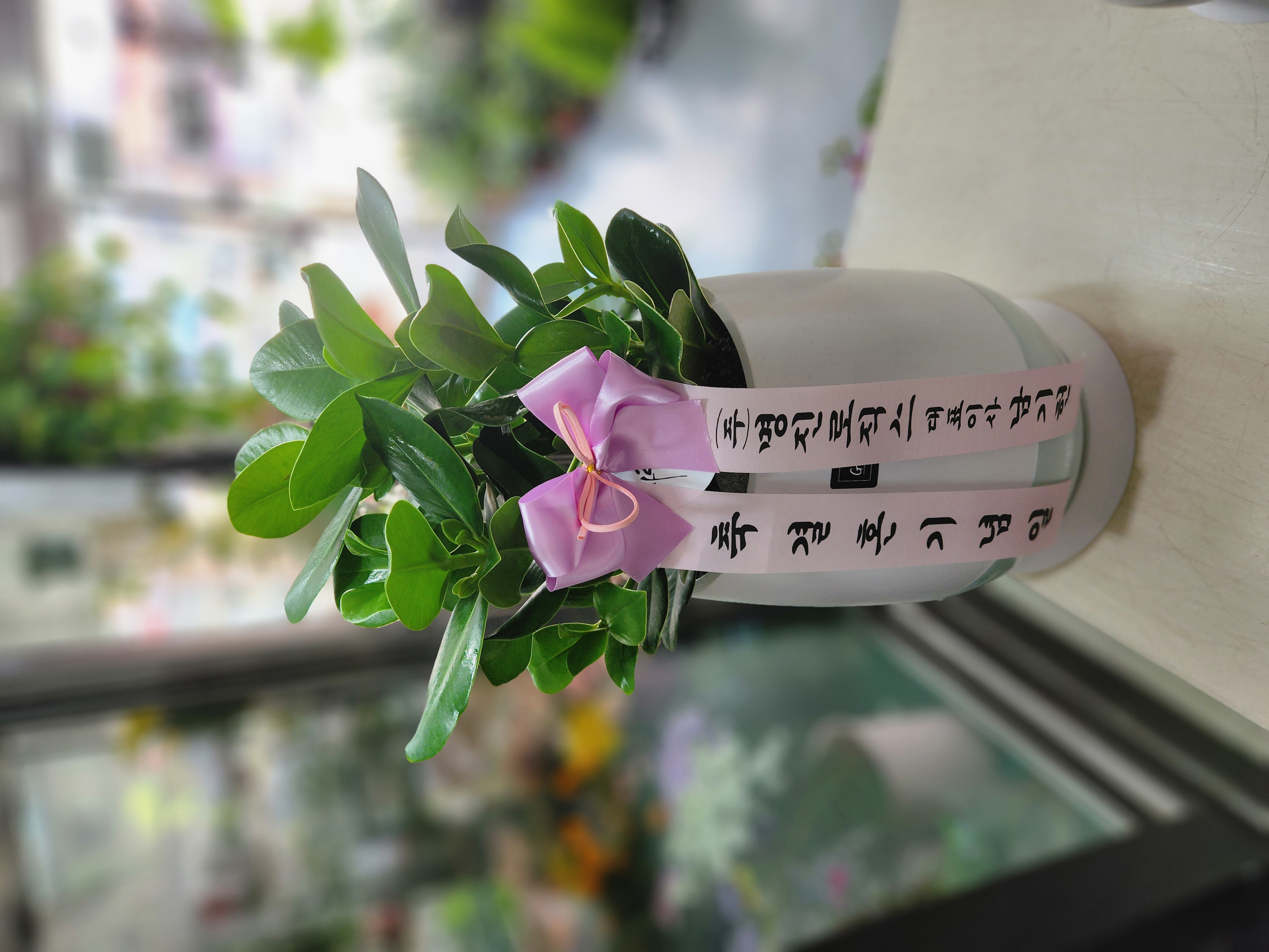 배송사진