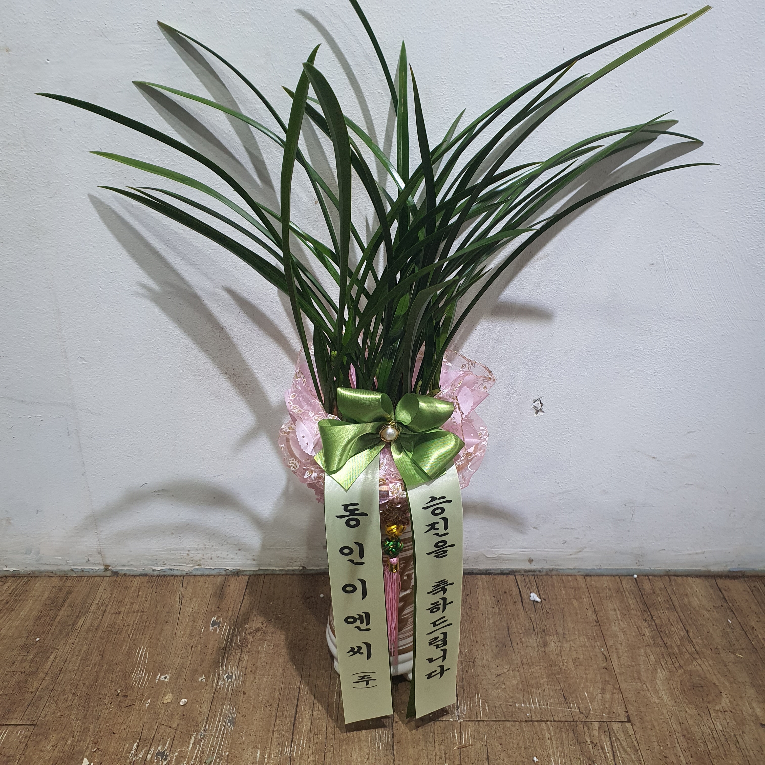 배송사진