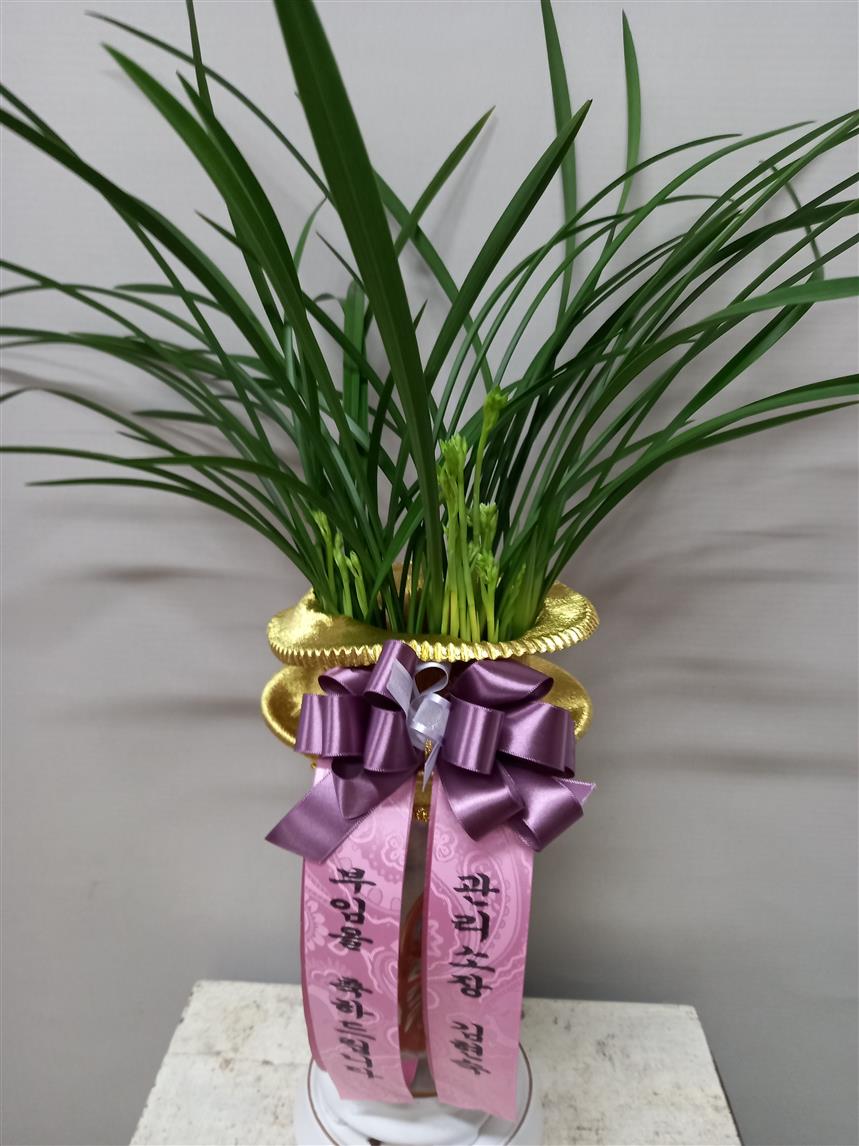 배송사진2