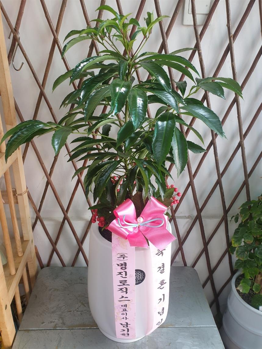 배송사진