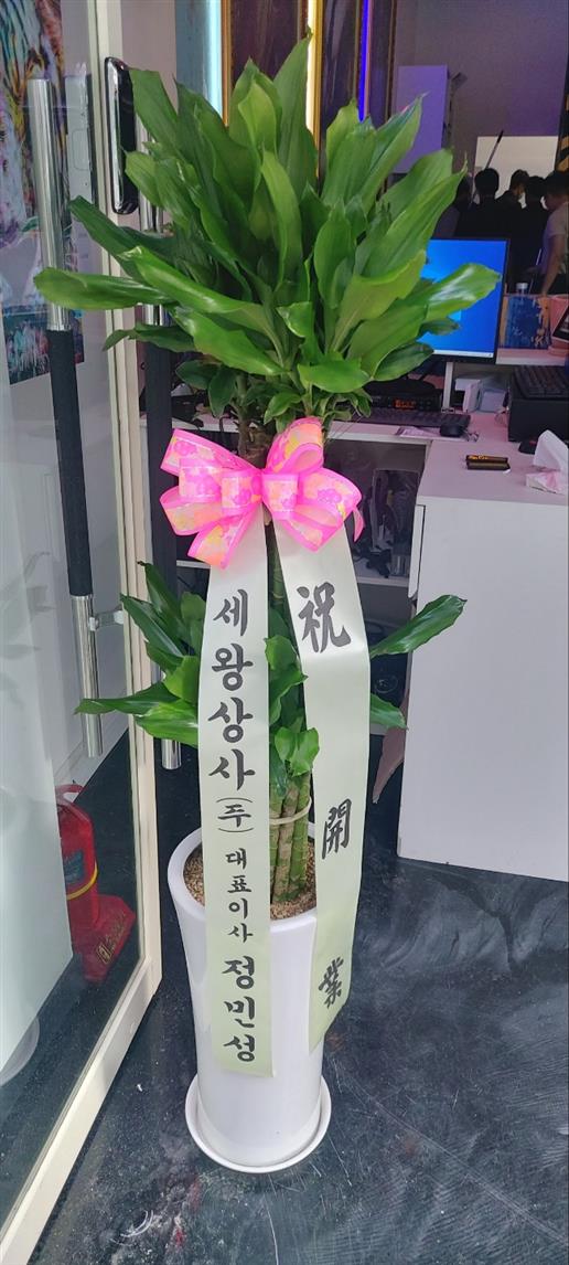배송사진