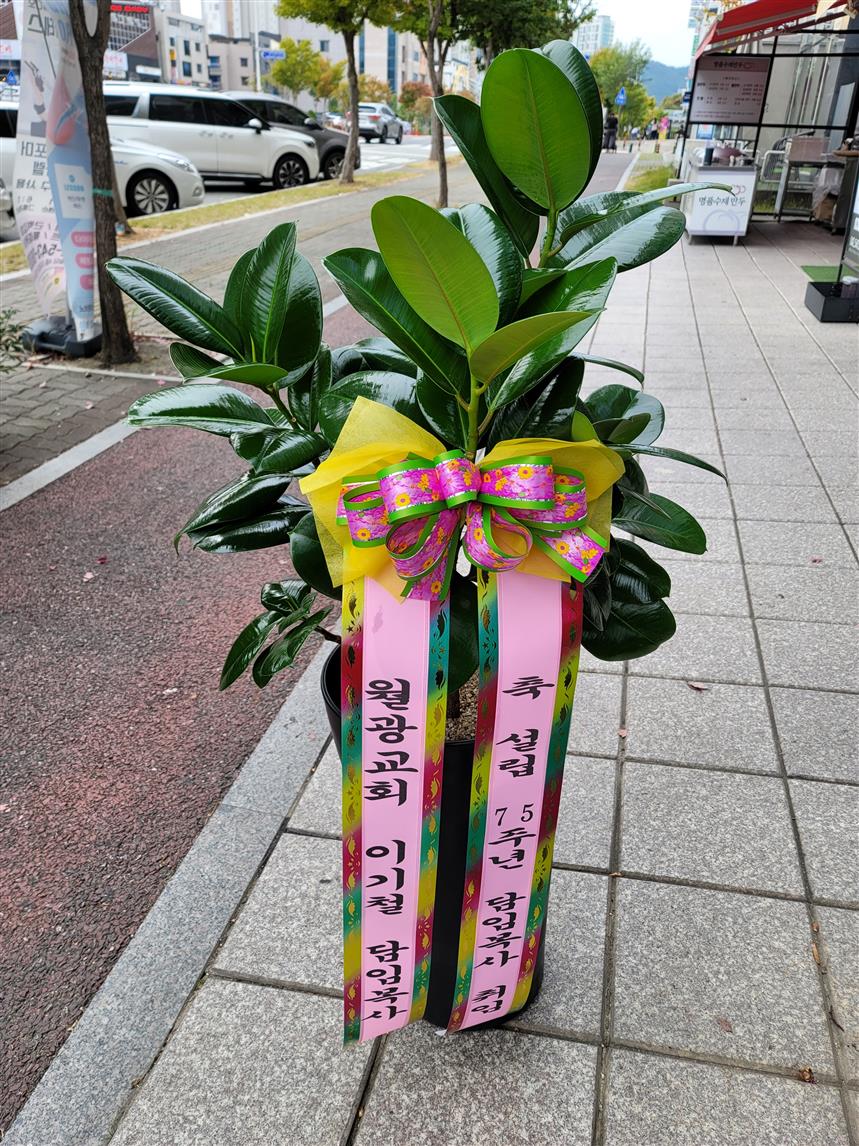 배송사진