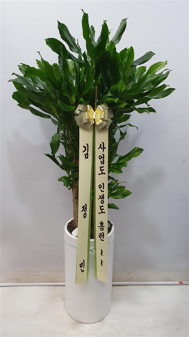 배송사진2