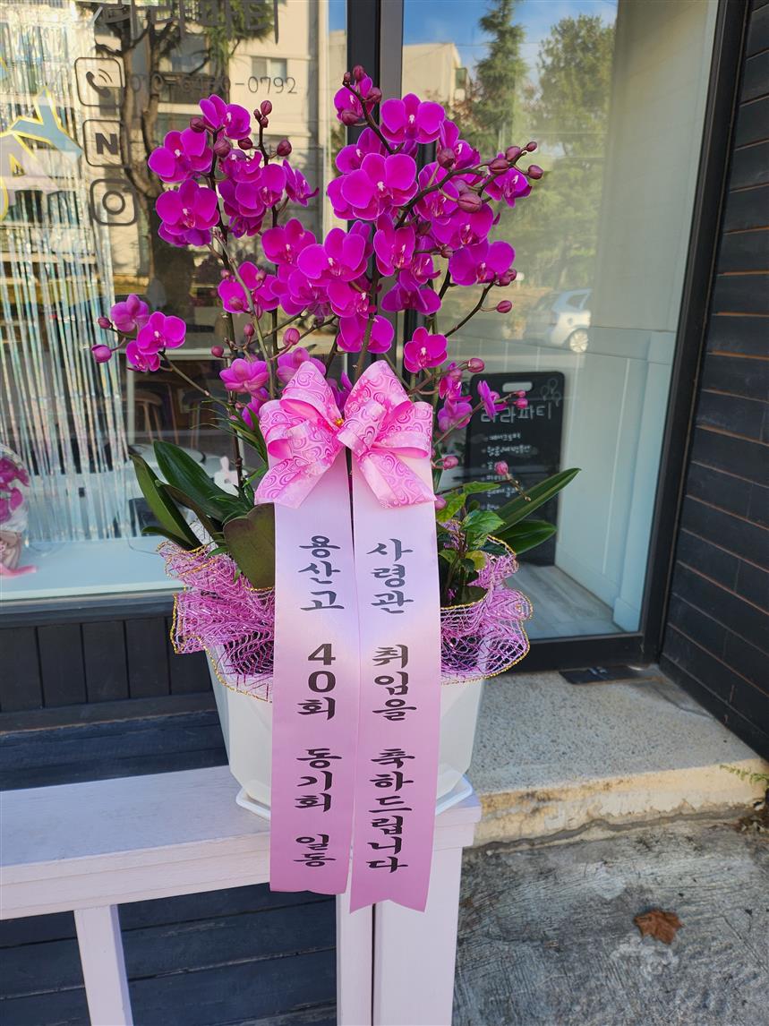 배송사진